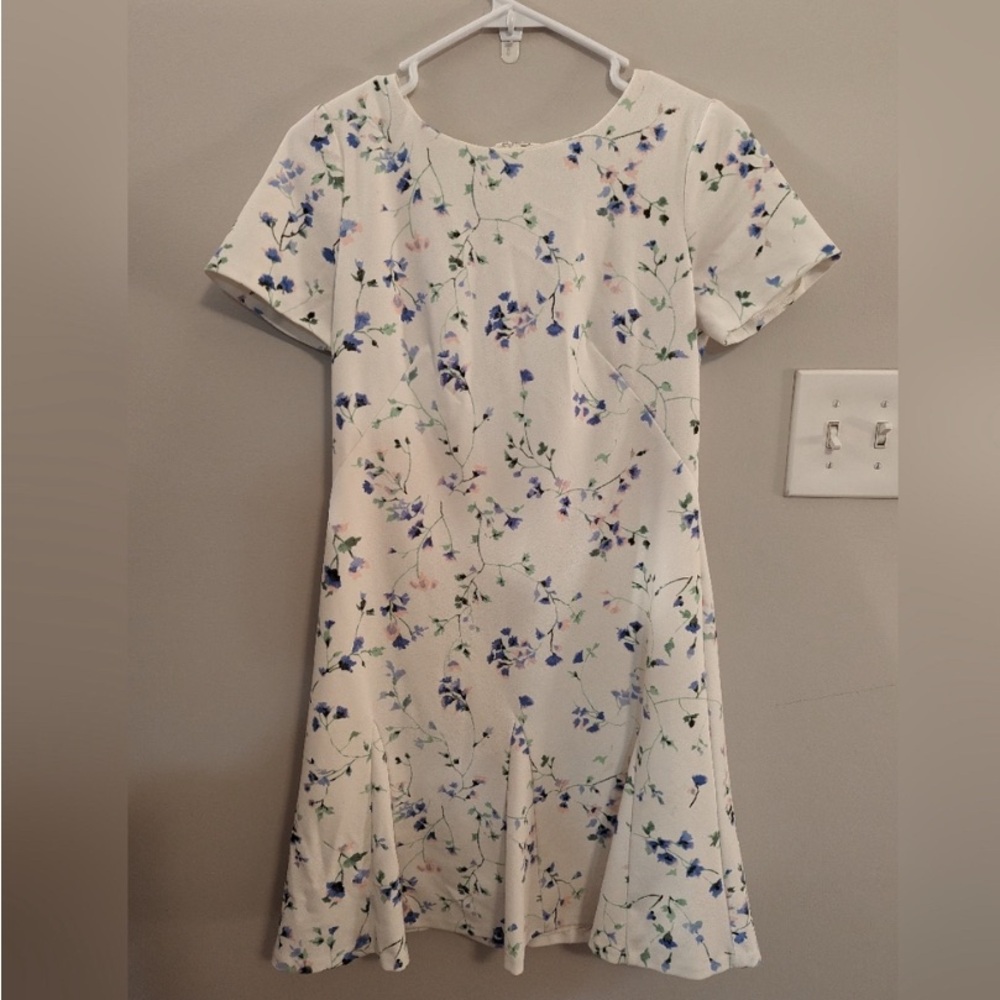 Ralph Lauren Women's White and Blue Floral Dress size 4P